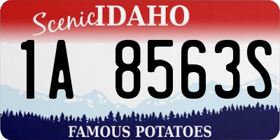 ID license plate 1A8563S