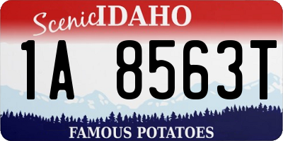 ID license plate 1A8563T