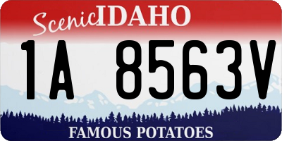 ID license plate 1A8563V
