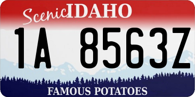 ID license plate 1A8563Z