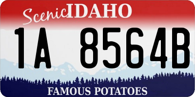 ID license plate 1A8564B