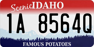 ID license plate 1A8564Q