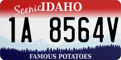 ID license plate 1A8564V