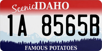 ID license plate 1A8565B