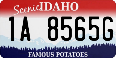 ID license plate 1A8565G
