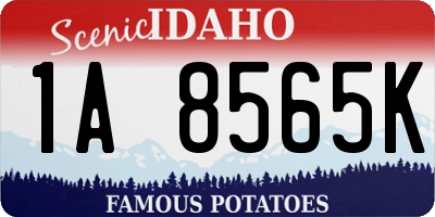 ID license plate 1A8565K