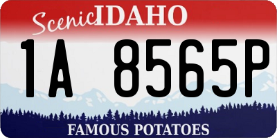 ID license plate 1A8565P