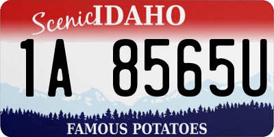 ID license plate 1A8565U