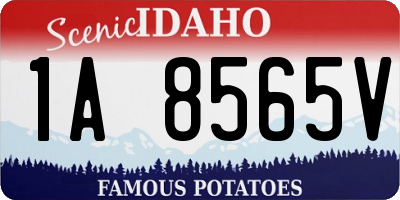 ID license plate 1A8565V