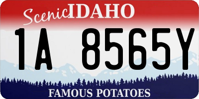 ID license plate 1A8565Y