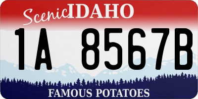 ID license plate 1A8567B