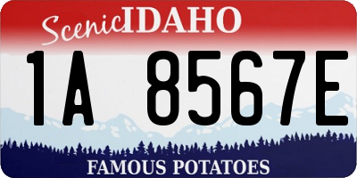 ID license plate 1A8567E