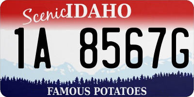 ID license plate 1A8567G