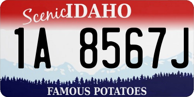 ID license plate 1A8567J