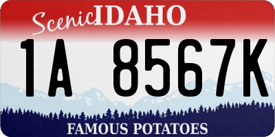 ID license plate 1A8567K