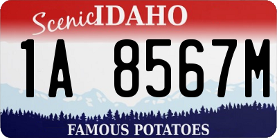 ID license plate 1A8567M