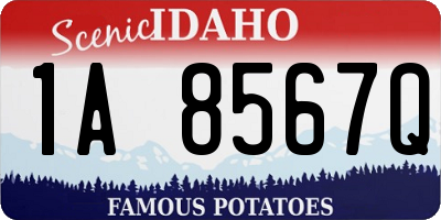 ID license plate 1A8567Q