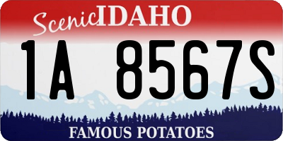 ID license plate 1A8567S