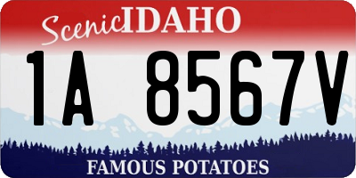 ID license plate 1A8567V