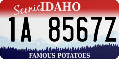 ID license plate 1A8567Z