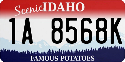 ID license plate 1A8568K