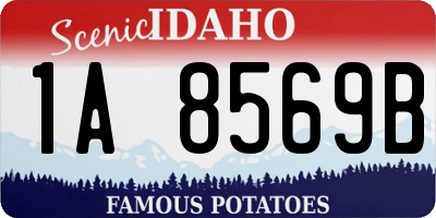 ID license plate 1A8569B
