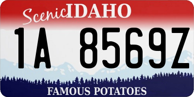 ID license plate 1A8569Z