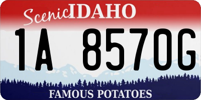 ID license plate 1A8570G
