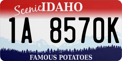 ID license plate 1A8570K