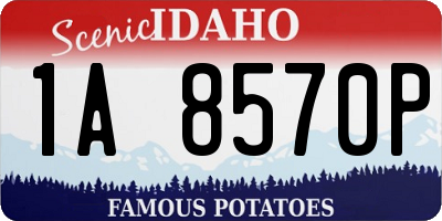 ID license plate 1A8570P