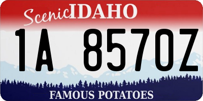 ID license plate 1A8570Z