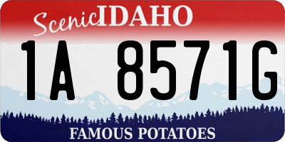 ID license plate 1A8571G