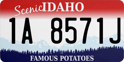 ID license plate 1A8571J