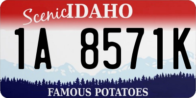 ID license plate 1A8571K