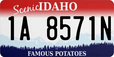 ID license plate 1A8571N