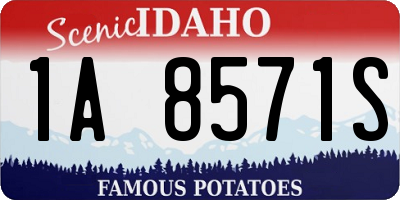 ID license plate 1A8571S