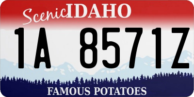 ID license plate 1A8571Z