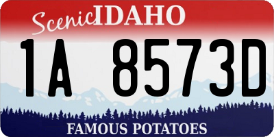 ID license plate 1A8573D