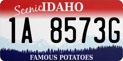 ID license plate 1A8573G