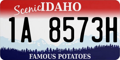 ID license plate 1A8573H