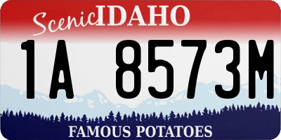 ID license plate 1A8573M