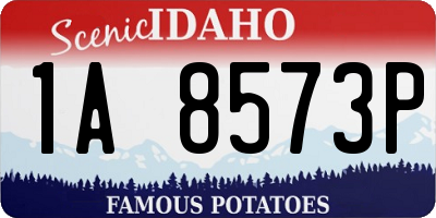 ID license plate 1A8573P