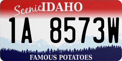 ID license plate 1A8573W
