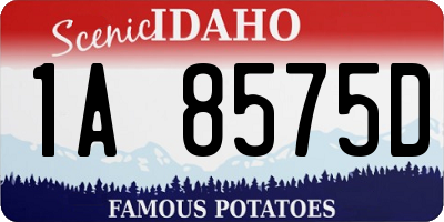 ID license plate 1A8575D