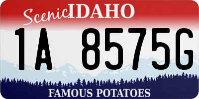 ID license plate 1A8575G
