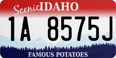 ID license plate 1A8575J