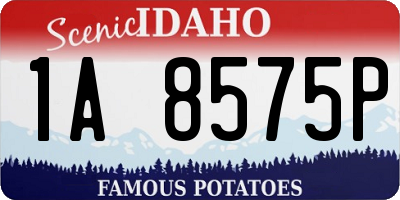 ID license plate 1A8575P