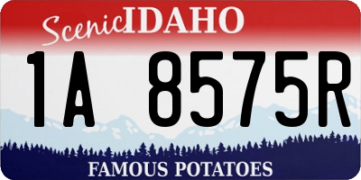 ID license plate 1A8575R