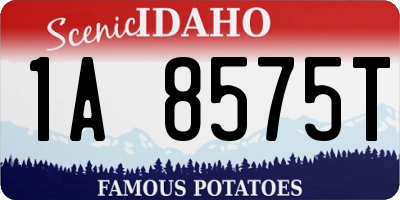 ID license plate 1A8575T