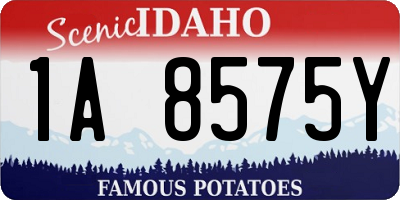ID license plate 1A8575Y